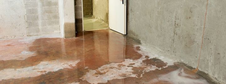 Basement Leak Detection Near Me
